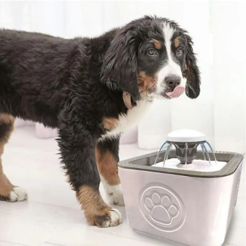 2.5L Portable Pet 3 Mode Water Fountain DC-222