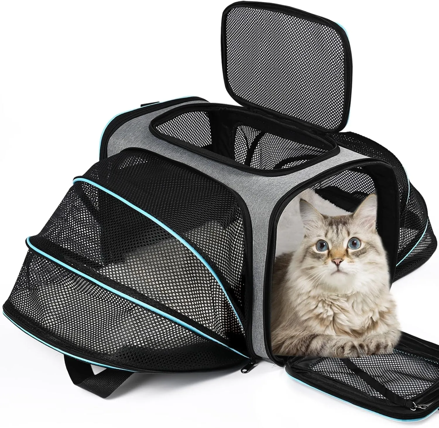 Airline Approved Pet Carrier, Soft Sided Portable Pet Travel Carrier 2 Sides Expandable Cat Carrier with Removable Fleece Pad,Safety Leash and Shoulder Strap,Dog and Small Animal(Grey)