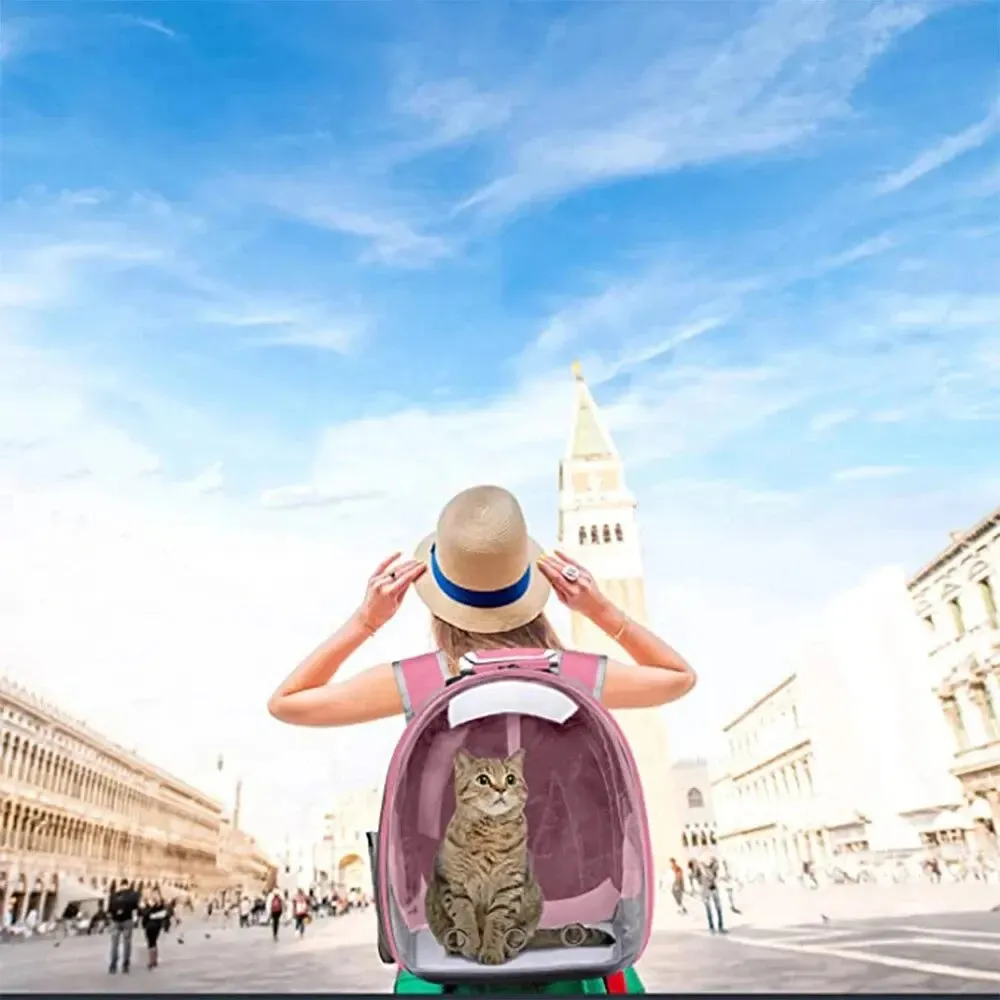 Cat Transparent Capsule Carrier Backpack Bubble Breathable Travel Carrier for Pets