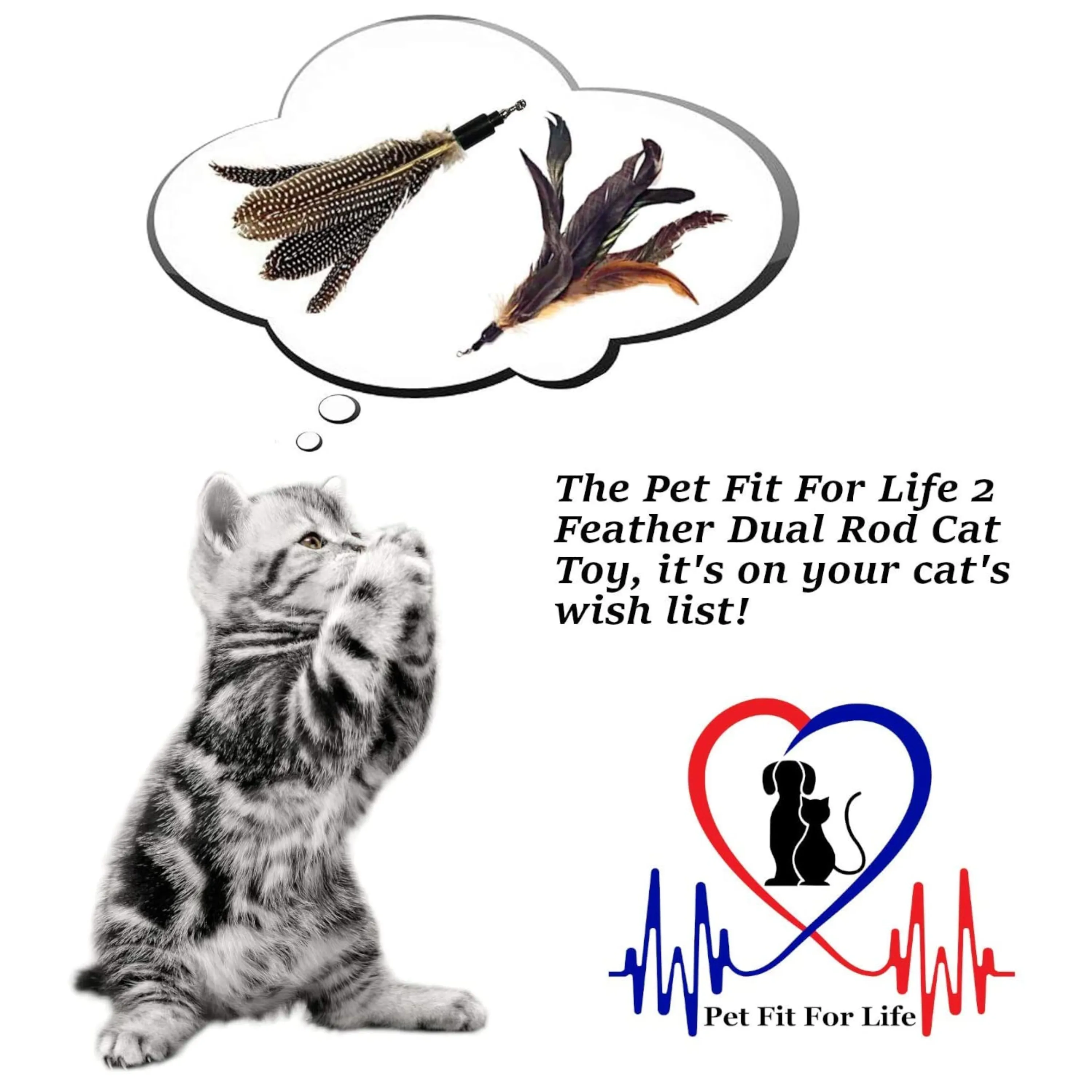 Cat Wand with 2 Feathers - Brown, Spotted