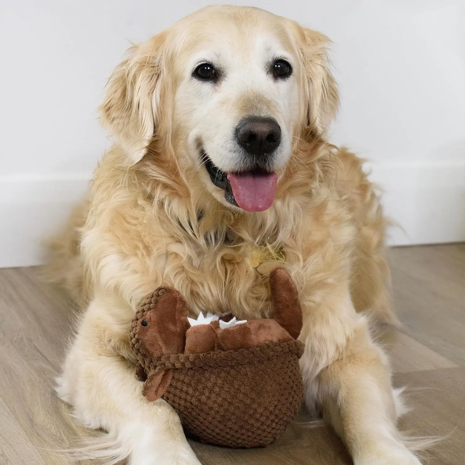 Flourish Pets 3 in 1 Multi-Layer Chew Toy for Active Dogs | Non-Toxic BPA Free Double Stitched Soft Fabric Exterior Dog Toys | Long-Lasting Dog Plush Toys  Small Armadillo 5.5"