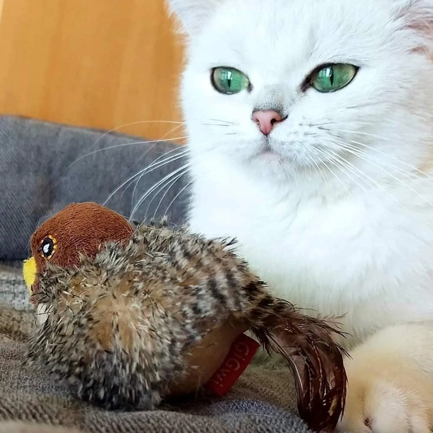 Gigwi Melody Chaser Bird with Motion Activated,