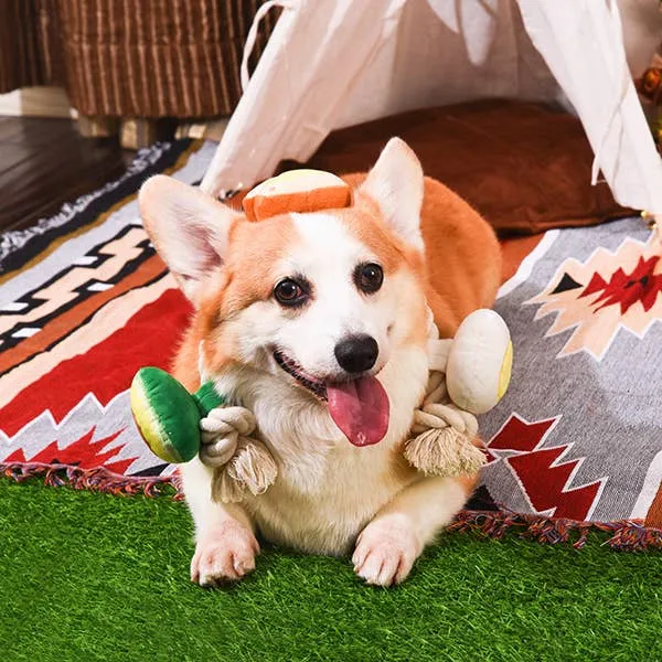 HugSmart Pet AvocadoCollection - Toast and Egg Dog Toy