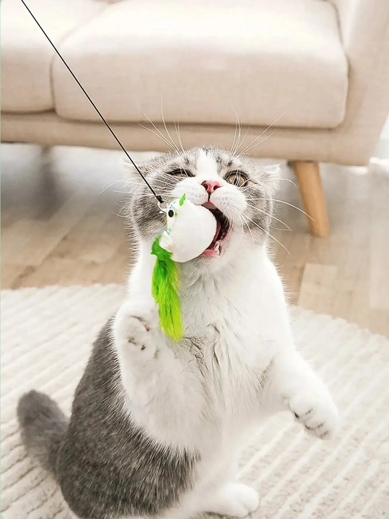 Interactive Cat Toy with Suction Cup, Feather, and Bell