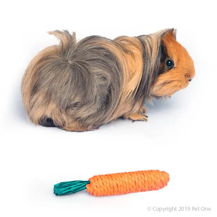PO Veggie Rope Chew Carrot