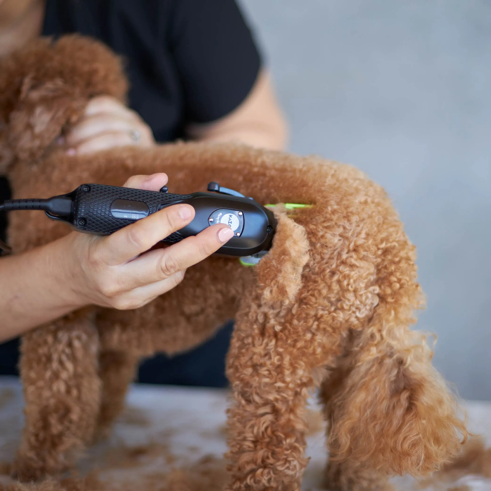 Pro Clip Cordless Metal Dog Clipper