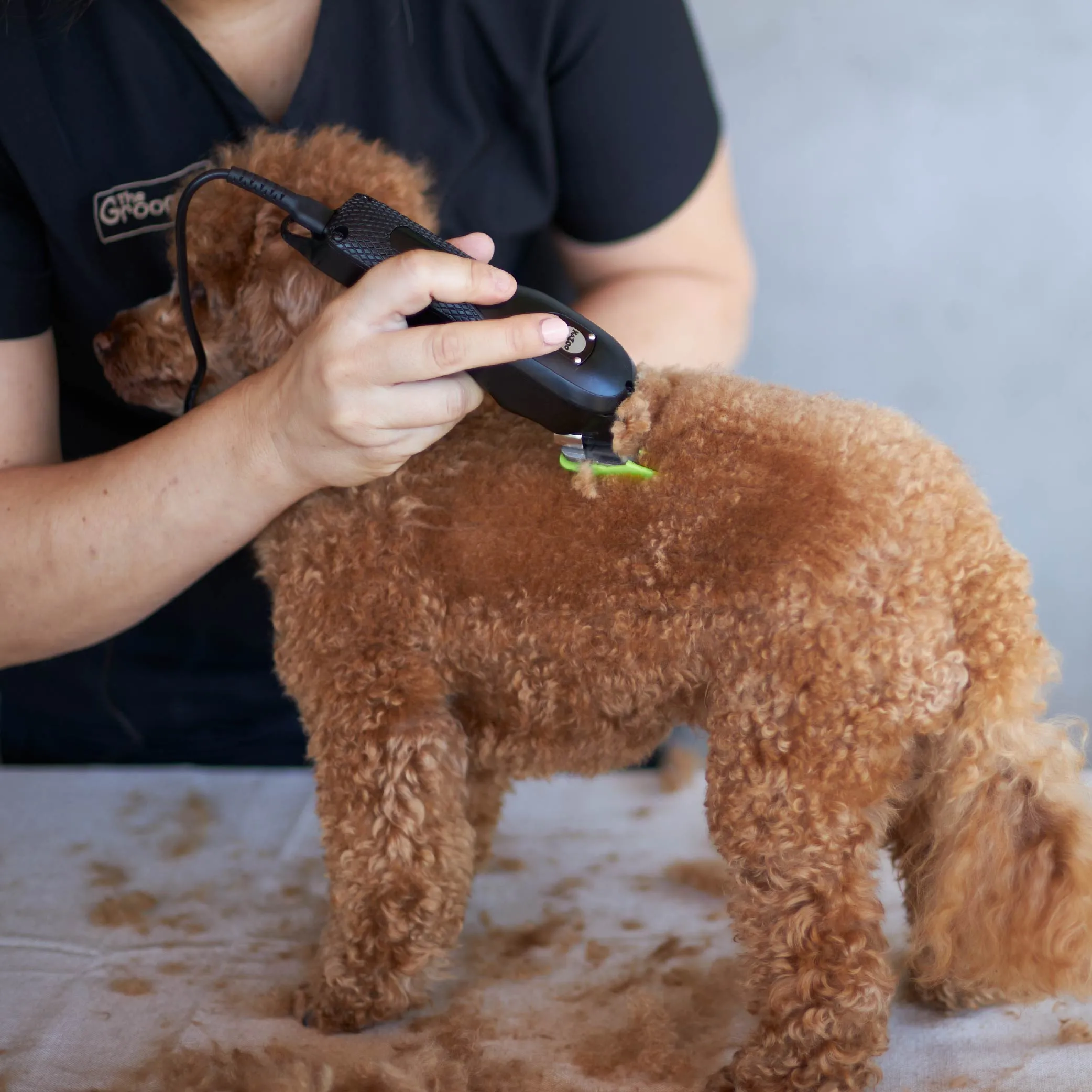 Pro Clip Cordless Metal Dog Clipper