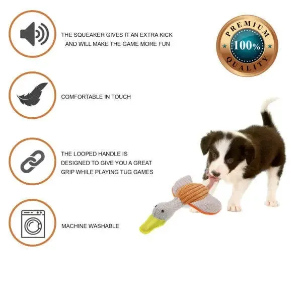 RexiPets  Fire Bird Duck