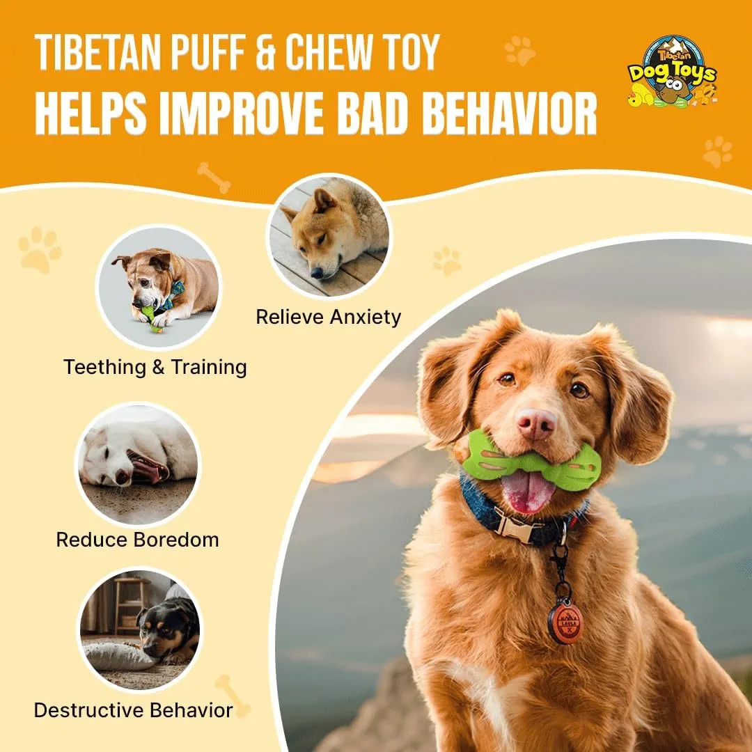 Tibetan Dog Chew Yak Cheese Puff & Chew - Fun Interactive Treat Dispenser Toy for Dogs - Training, Teething, Calming, Mental Stimulation - Bone Dumbbell - Fluorescent Green (1 Toy, 5 Nuggets)