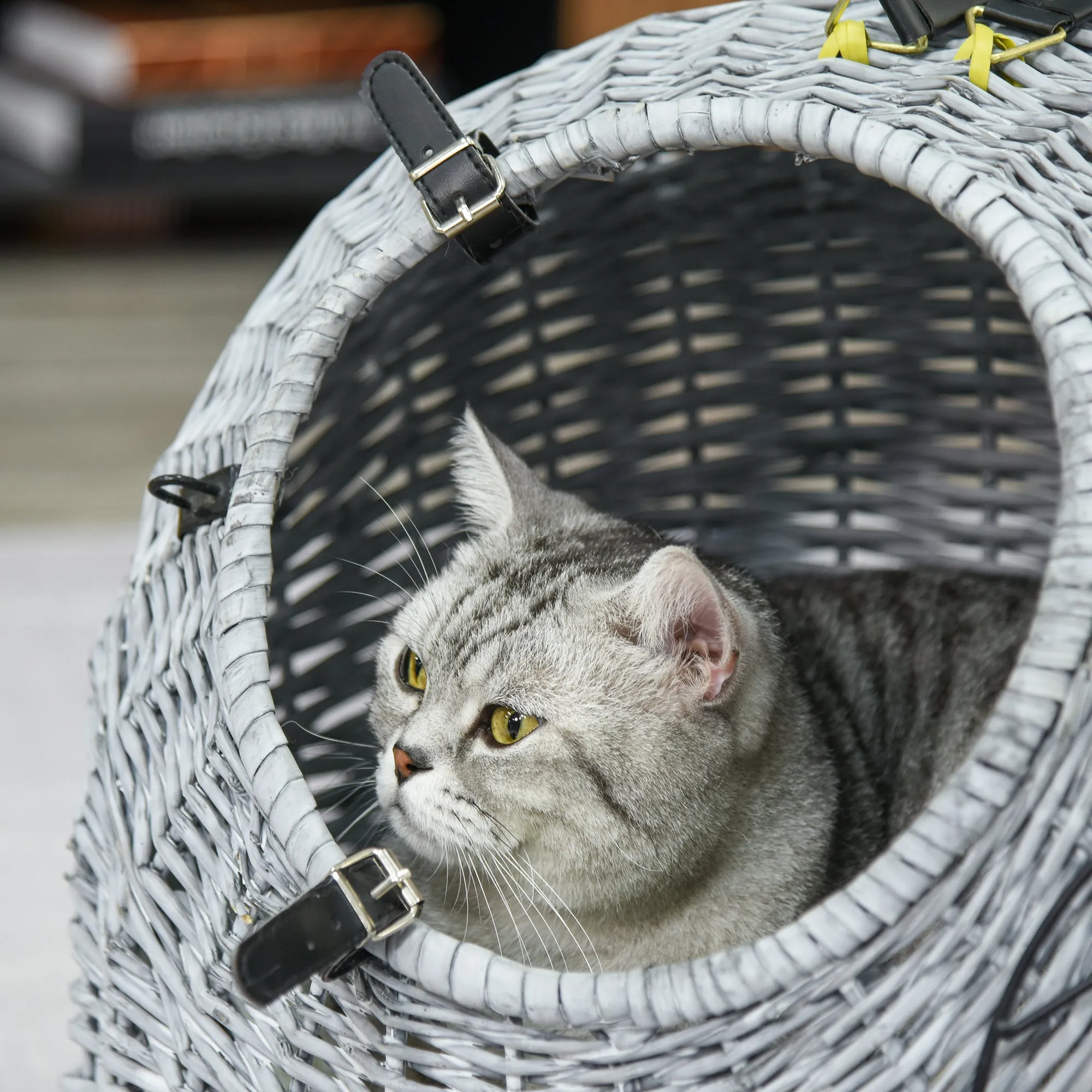 Wicker Cat Basket W/ Mat Handle Kitten Pussy Enclosed Bed Portable - Grey